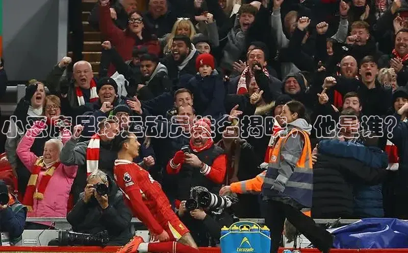 欧陆注册平台登录入口百度手机助手小恶魔足球运动员姓名揭晓，他是谁？