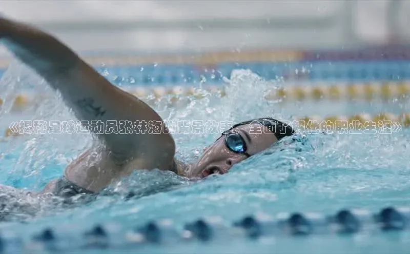 欧陆平台登录地址壹网壹创《揭秘足球运动员张林海的背景故事，全面了解他的职业生涯》