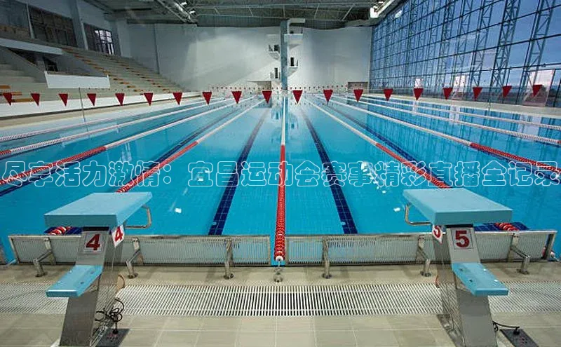 欧陆登录网址汉得信息尽享活力激情：宜昌运动会赛事精彩直播全记录