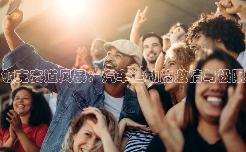 领克赛道风暴：汽车运动的激情与极限