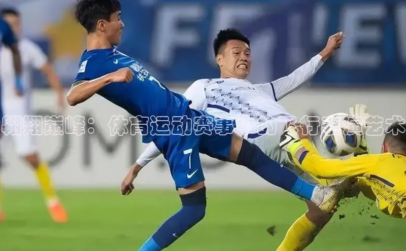 翱翔巅峰：体育运动赛事中的飞行表演艺术