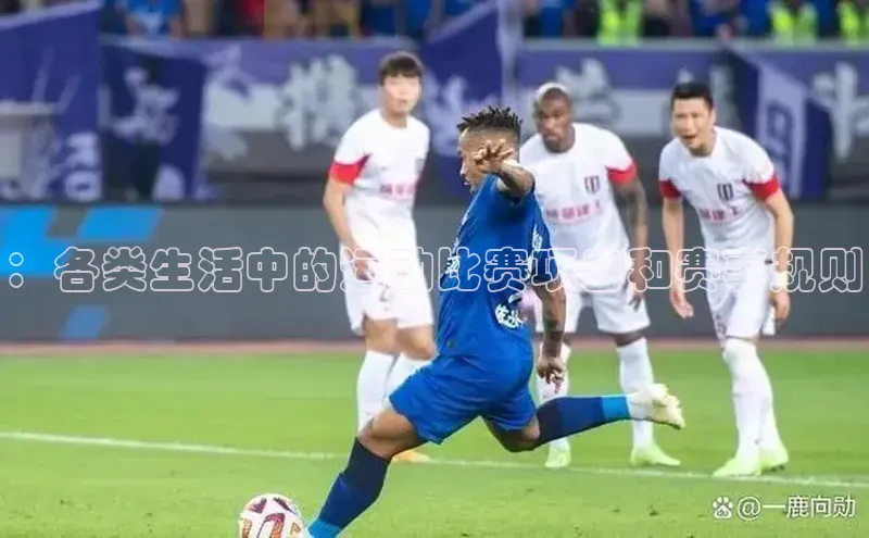 ：各类生活中的运动比赛项目和赛事规则