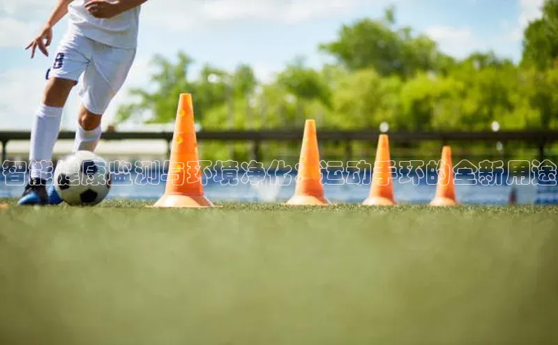 智能健康监测与环境净化：运动手环的全新用途