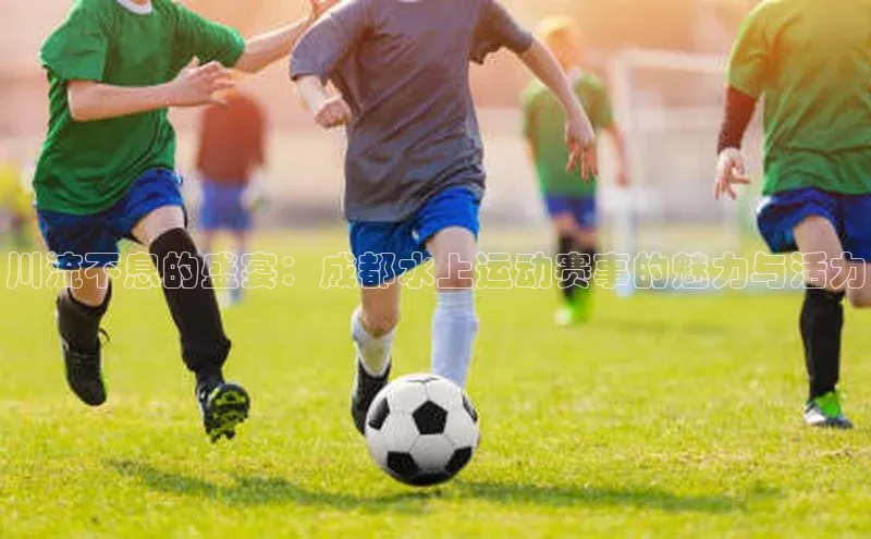 川流不息的盛宴：成都水上运动赛事的魅力与活力