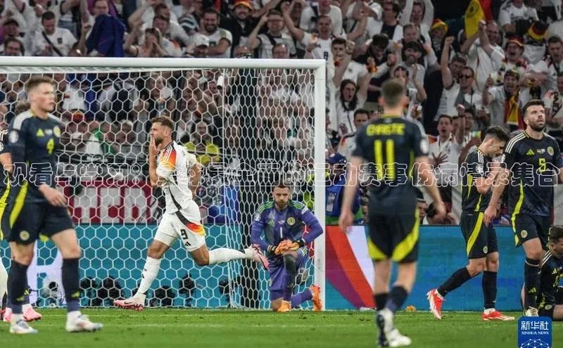 观看与学习：全球最全面的运动赛事伤病情录集合