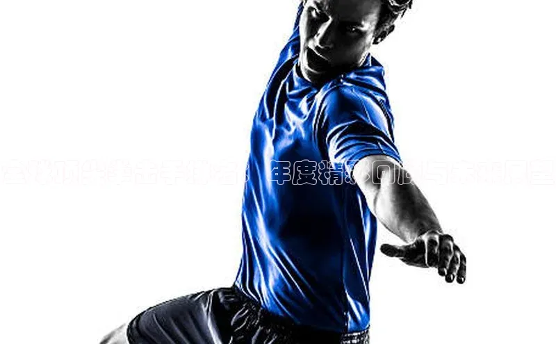 全球顶尖拳击手排名：年度精彩回顾与未来展望