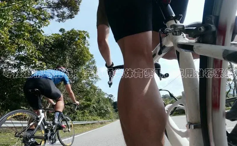 寻找激情与挑战：全球顶尖体育赛事的应用推荐系统