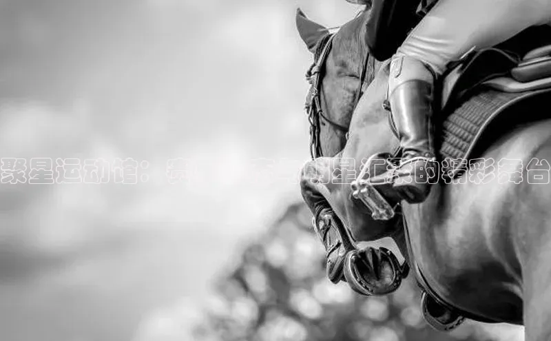 欧陆娱乐平台登录app